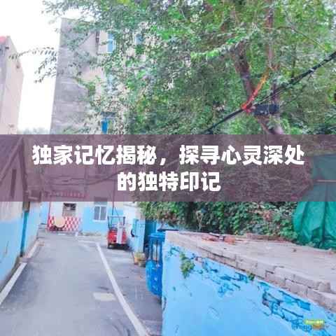 滔滔不绝 第5页