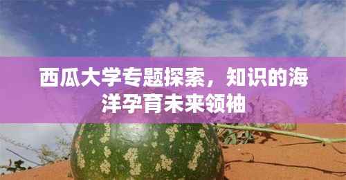 西瓜大学专题探索，知识的海洋孕育未来领袖