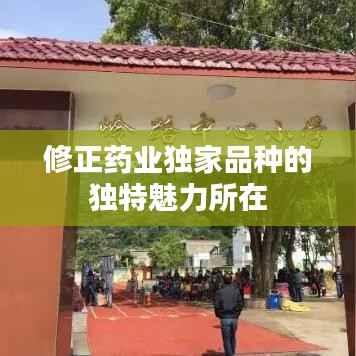 小鸟依人 第5页