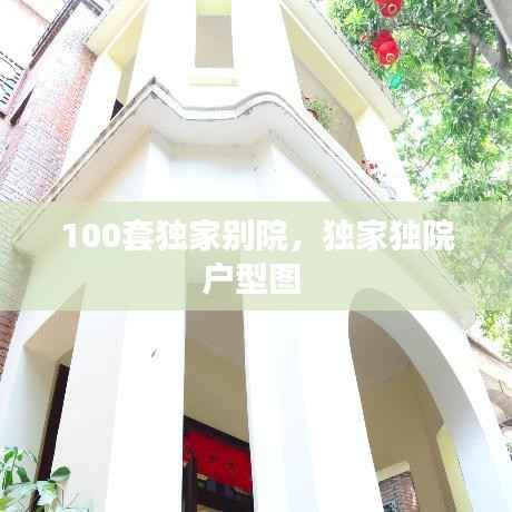 100套独家别院，独家独院户型图 