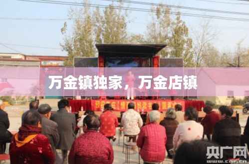 物以希为贵 第4页