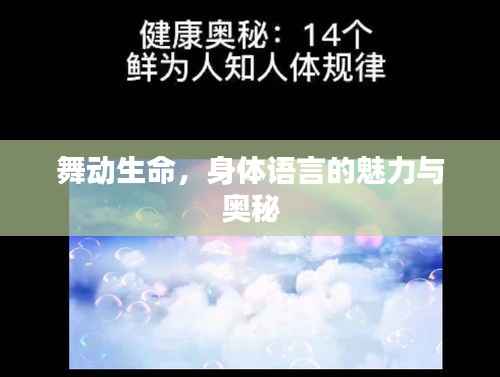 舞动生命，身体语言的魅力与奥秘
