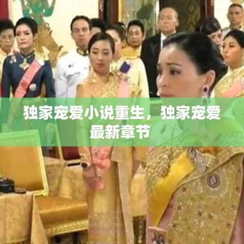 独家宠爱小说重生，独家宠爱最新章节 