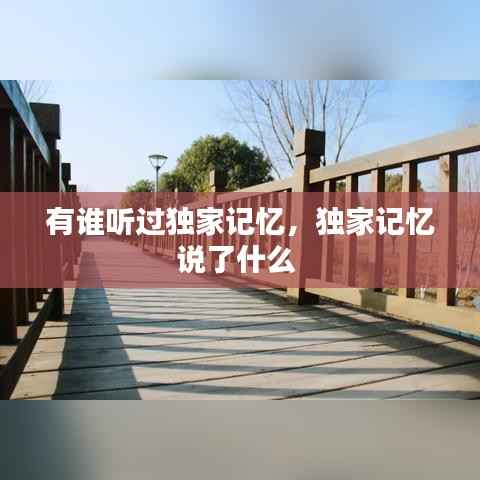 有谁听过独家记忆，独家记忆说了什么 