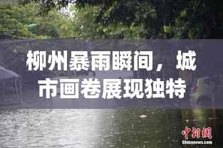 柳州暴雨瞬间，城市画卷展现独特魅力