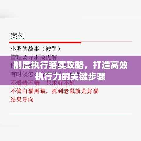 制度执行落实攻略，打造高效执行力的关键步骤