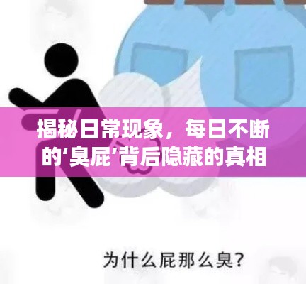 揭秘日常现象,每日不断的‘臭屁’背后隐藏的真相