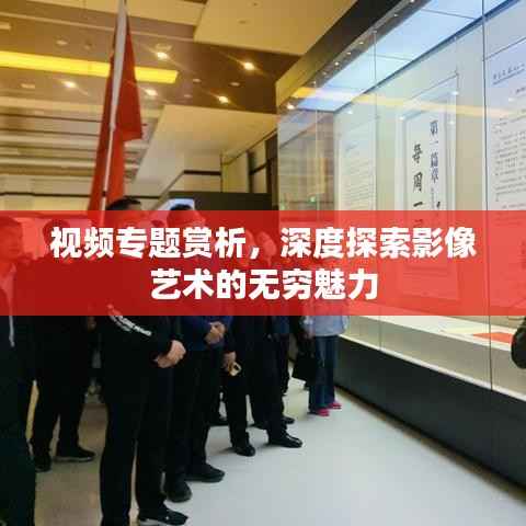 视频专题赏析，深度探索影像艺术的无穷魅力