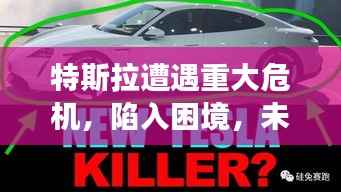 特斯拉遭遇重大危机，陷入困境，未来发展堪忧