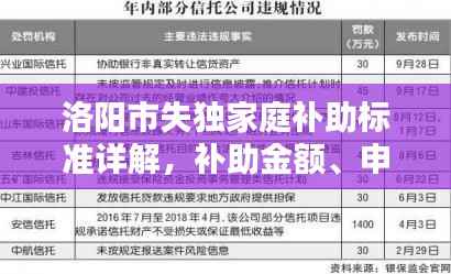 洛阳市失独家庭补助标准详解，补助金额、申请条件及流程解析