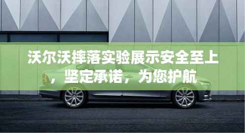 乌鸟之情 第3页