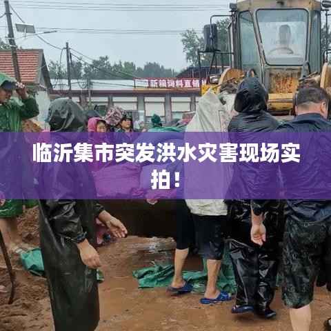 临沂集市突发洪水灾害现场实拍！