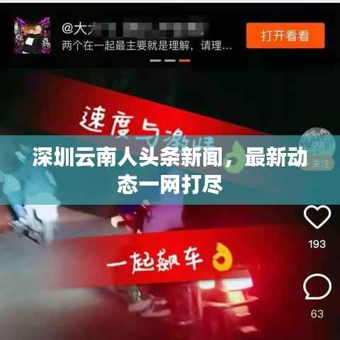 龙飞九五 第4页