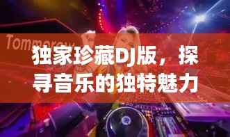 独家珍藏DJ版，探寻音乐的独特魅力与价值宝藏