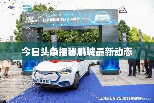 今日头条揭秘鹏城最新动态