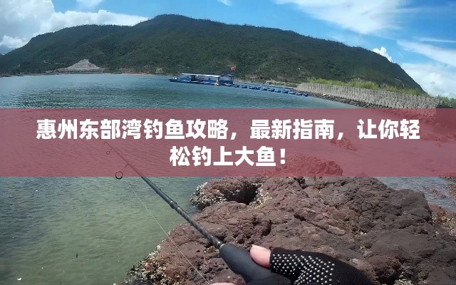 惠州东部湾钓鱼攻略，最新指南，让你轻松钓上大鱼！
