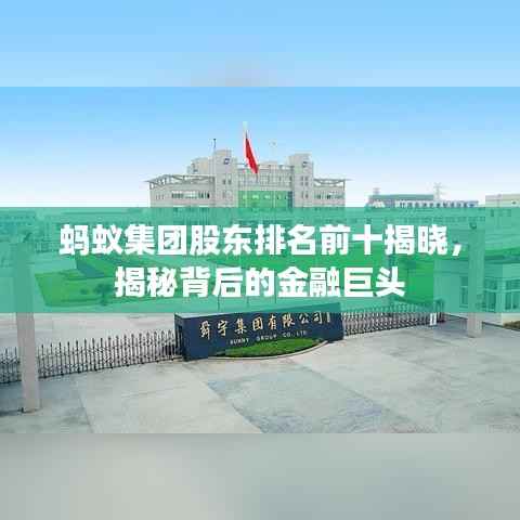 蚂蚁集团股东排名前十揭晓，揭秘背后的金融巨头