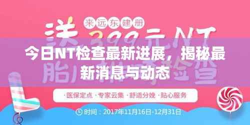 今日NT检查最新进展，揭秘最新消息与动态