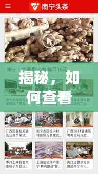 朝乾夕惕 第3页