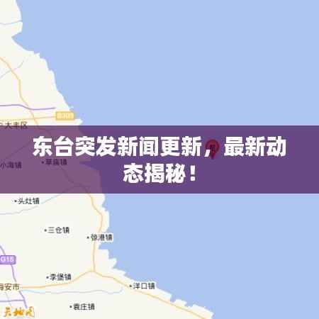 东台突发新闻更新,最新动态揭秘!