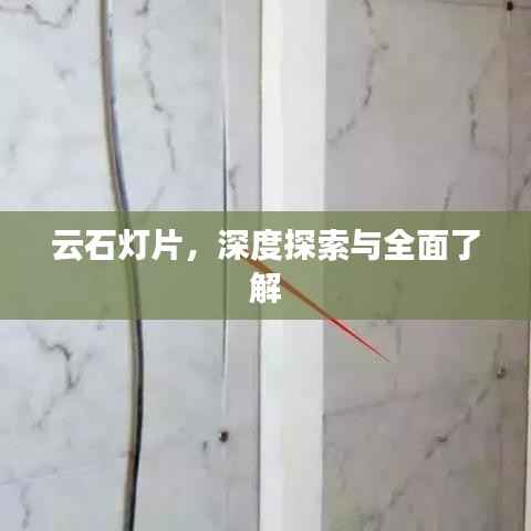 阳春白雪 第4页