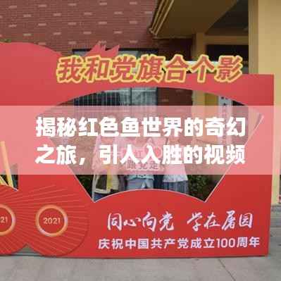揭秘红色鱼世界的奇幻之旅，引人入胜的视频故事