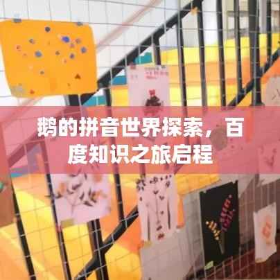 鹅的拼音世界探索，百度知识之旅启程