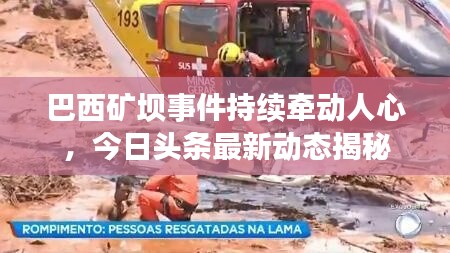 反正还淳 第3页