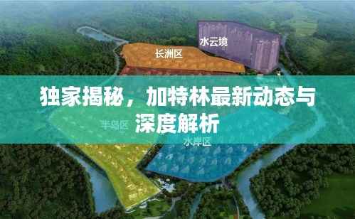 雍容典雅 第4页