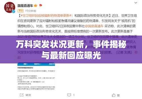 鸷鸟不群 第4页