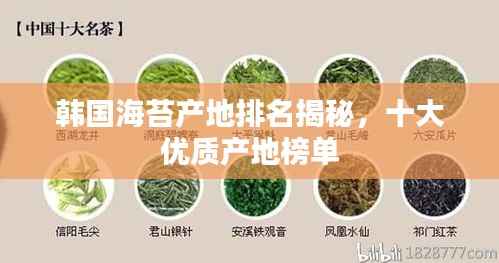 韩国海苔产地排名揭秘，十大优质产地榜单