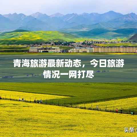 青海旅游最新动态，今日旅游情况一网打尽
