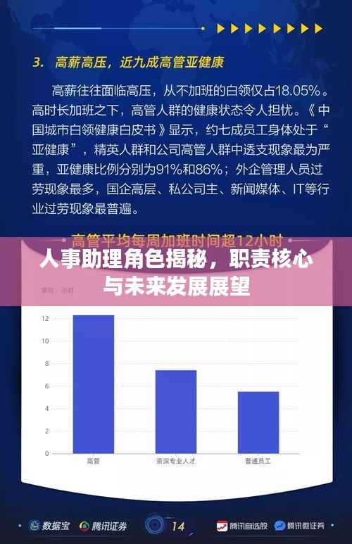 人事助理角色揭秘，职责核心与未来发展展望