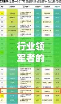 行业领军者的秘密揭晓，权威置换公司排名榜单出炉！