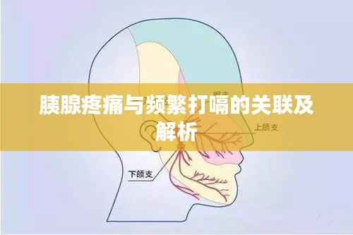 胰腺疼痛与频繁打嗝的关联及解析