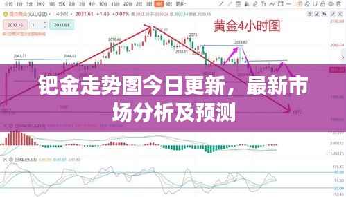 钯金走势图今日更新，最新市场分析及预测