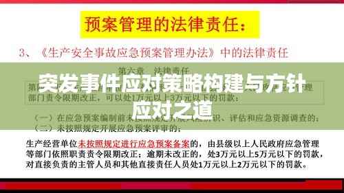 突发事件应对策略构建与方针应对之道