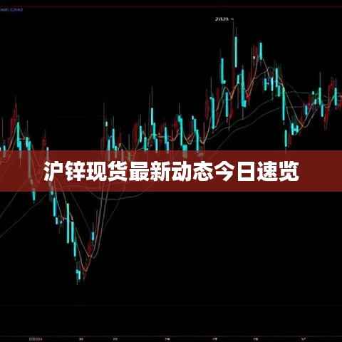 沪锌现货最新动态今日速览