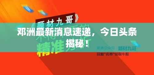 衣无二彩 第3页