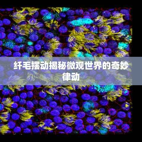 千辛万苦 第4页