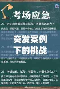 展翅高飞 第3页