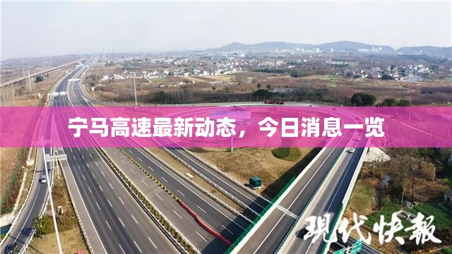 随圆就方 第3页