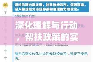 深化理解与行动，帮扶政策的实践历程与未来展望（2021年）