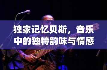 独家记忆贝斯，音乐中的独特韵味与情感共鸣
