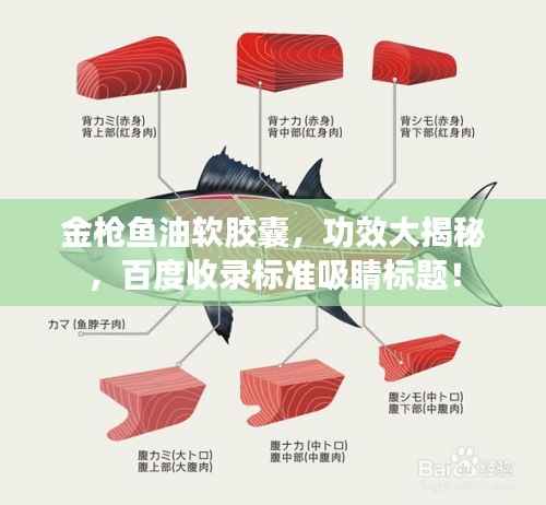 金枪鱼油软胶囊，功效大揭秘，百度收录标准吸睛标题！