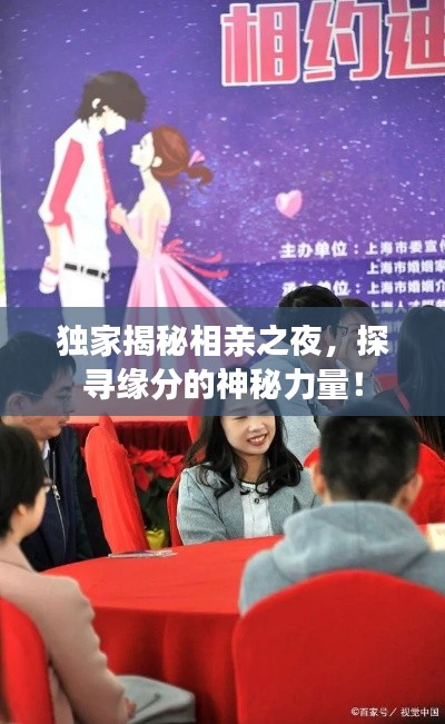 独家揭秘相亲之夜，探寻缘分的神秘力量！
