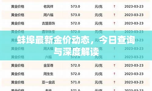 蚌埠最新金价动态，今日查询与深度解读