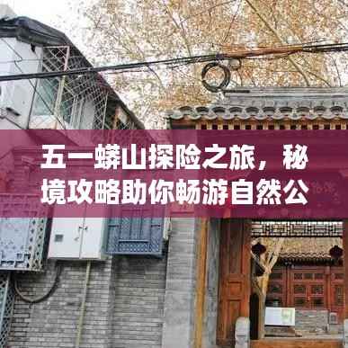 五一蟒山探险之旅，秘境攻略助你畅游自然公园