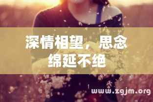 飞扬跋扈 第3页