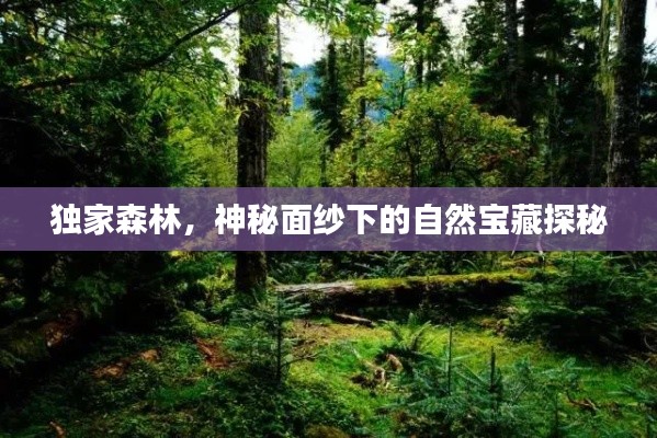 地老天荒 第3页